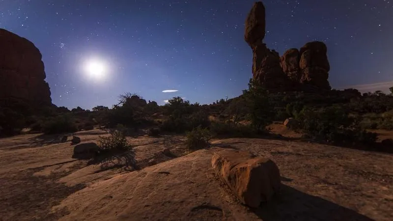 朝の散歩が変えた私の体調——半年続けて気づいたこと