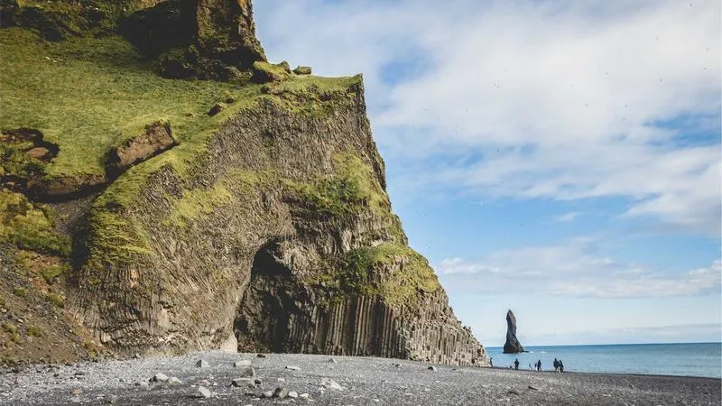 腸活のすすめ：発酵食品と腸内環境の話