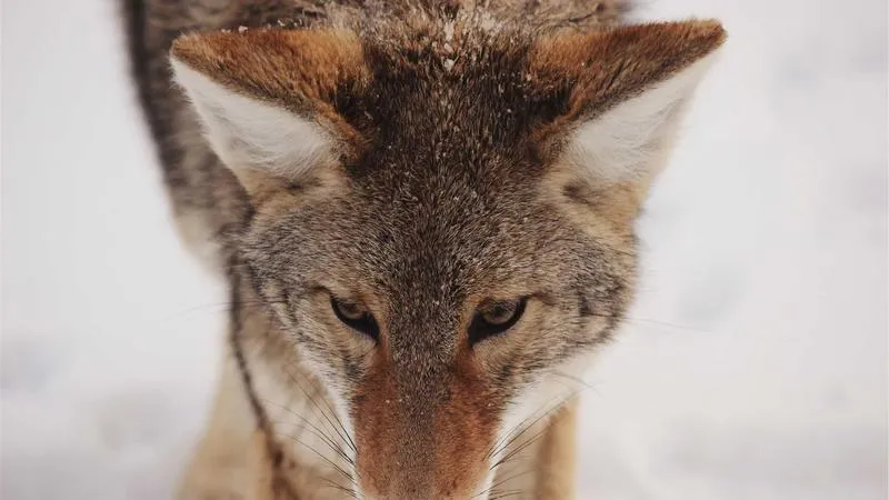 季節の変わり目、なんだか調子が悪い？——その不調には理由がある